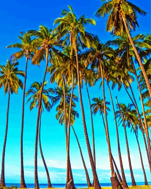 Molokai Palm Trees Paint By Numbers