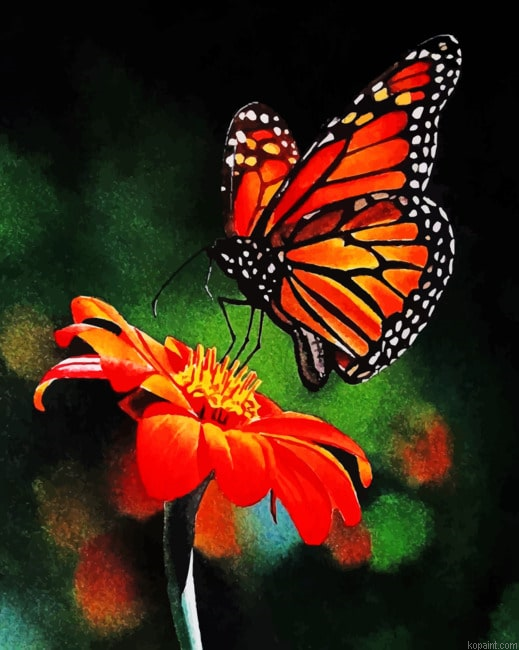 Monarch Butterfly On Flower Painting By Numberss.png