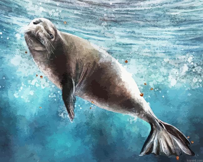 Monk Seal Underwater Art Painting By Numberss.png