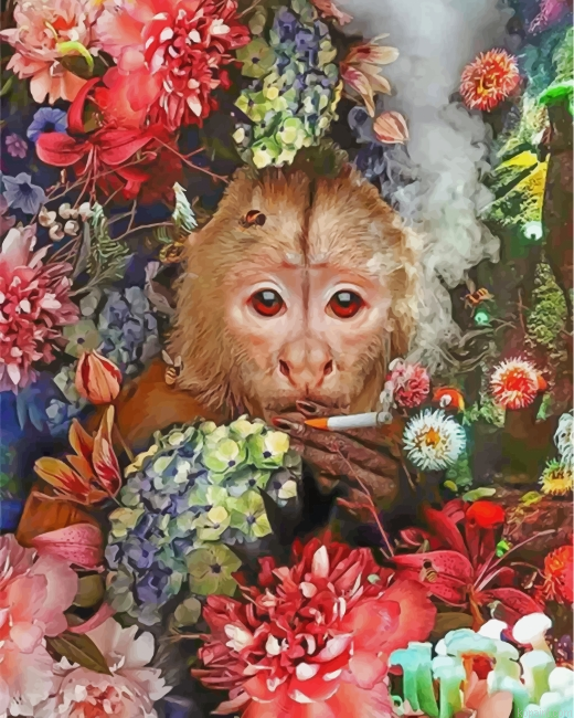 Monkey Smoking Paint By Numbers