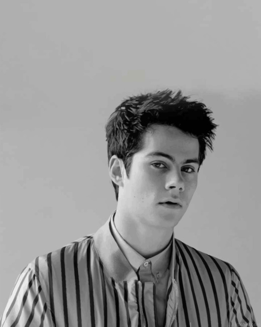 Monochrome Dylan O Brien Paint By Numbers