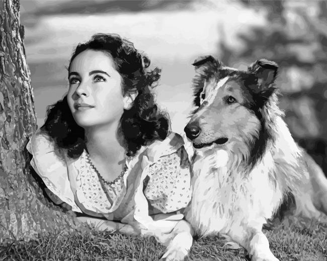 Monochrome Lassie Painting By Numberss.png