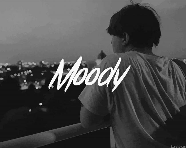 Moody Paint By Numbers