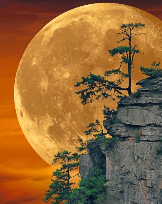 Moon Light New Painting By Numberss.png