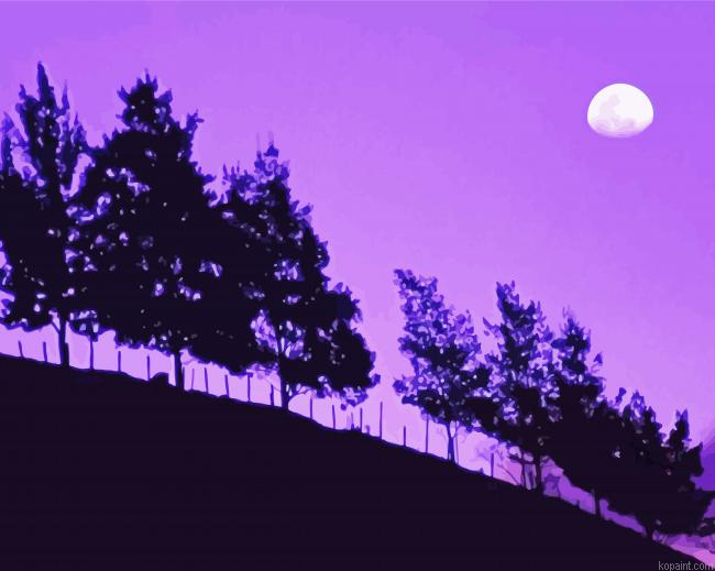 Moon Purple Night Painting By Numberss.png