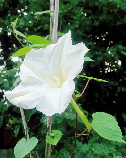Moonflower Painting By Numberss.png