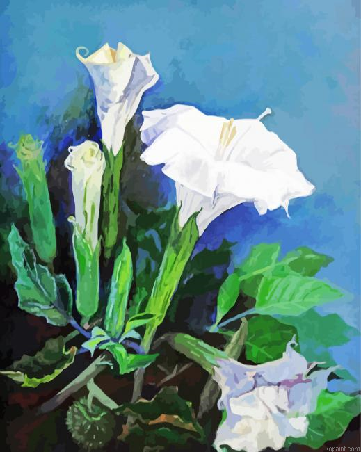 Moonflowers Art Painting By Numberss.png