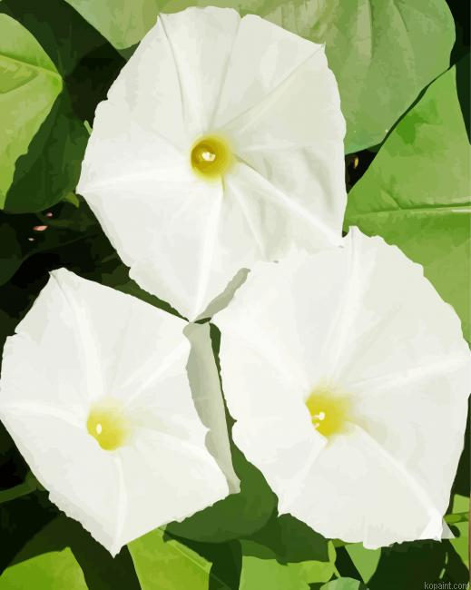 Moonflowers Painting By Numberss.png