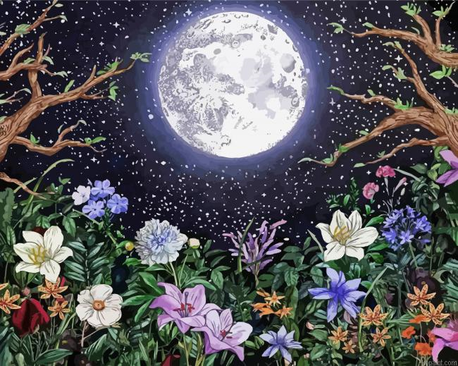 Moonlight Garden Paint By Numbers