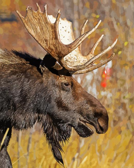 Moose Head With Harness Painting By Numberss.png
