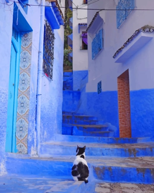 Moroccan Cat New Painting By Numberss.png