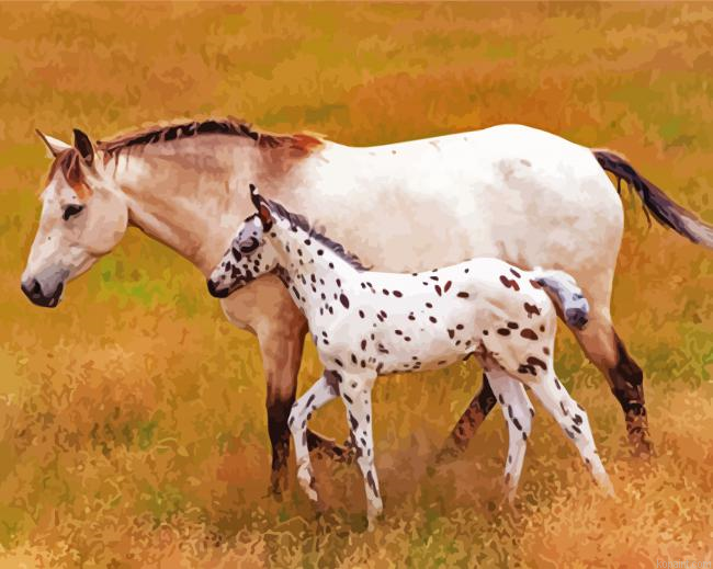 Mother And Little Appaloosa Painting By Numberss.png