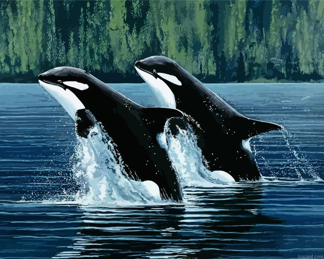 Mother And Son Orca Painting By Numberss.png