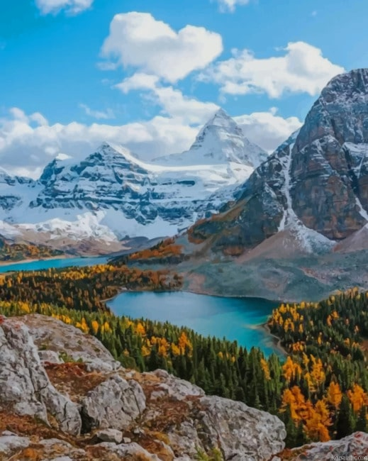 Mount Assiniboine Provincial Park New Painting By Numberss.png