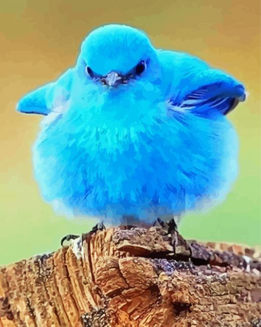 Mountain Bluebird Painting By Numberss.png