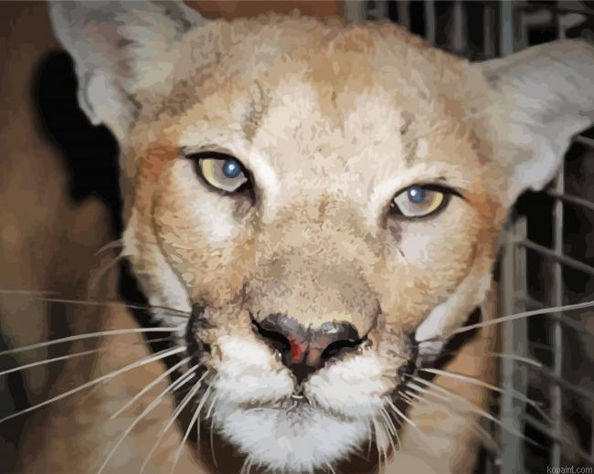 Mountain Lion Face Painting By Numberss.png