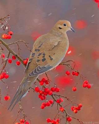 Mourning Dove Painting By Numberss.png