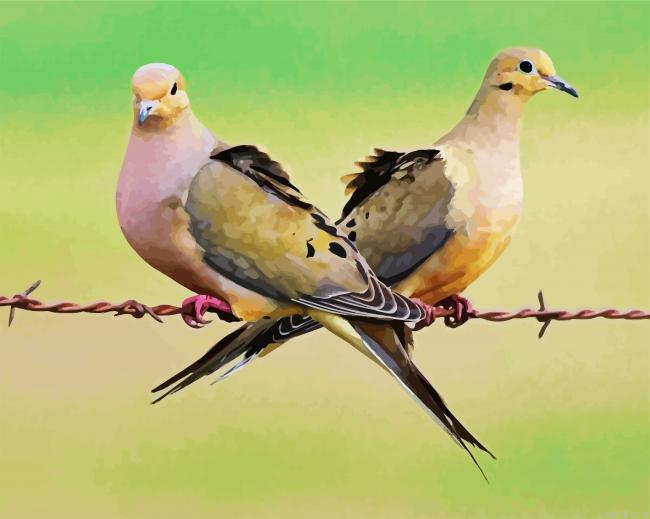 Mourning Doves Paint By Numbers.png