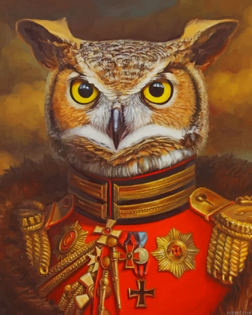 Mr Owl New Painting By Numberss.png