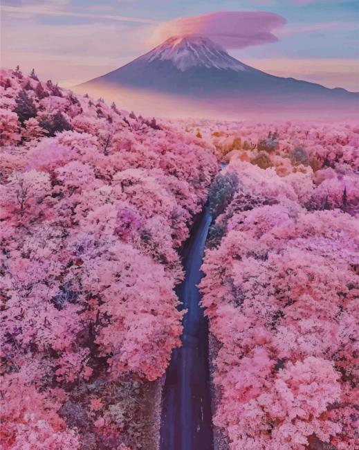 Mt Fuji With Cherry Blossoms New Painting By Numberss.png