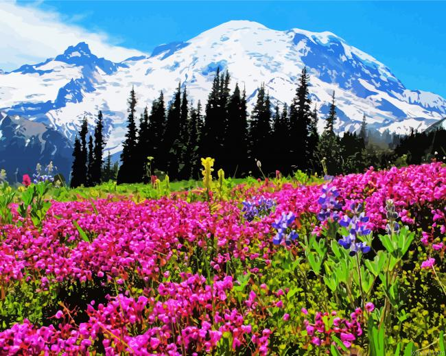 Mt Rainier Painting By Numberss.png
