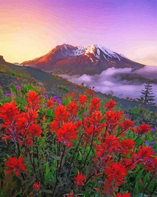 Mt St Helens With Red Poppies Painting By Numberss.png