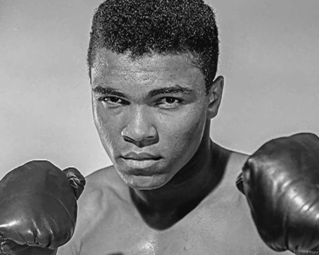 Muhammad Ali Black And White Painting By Numberss.png