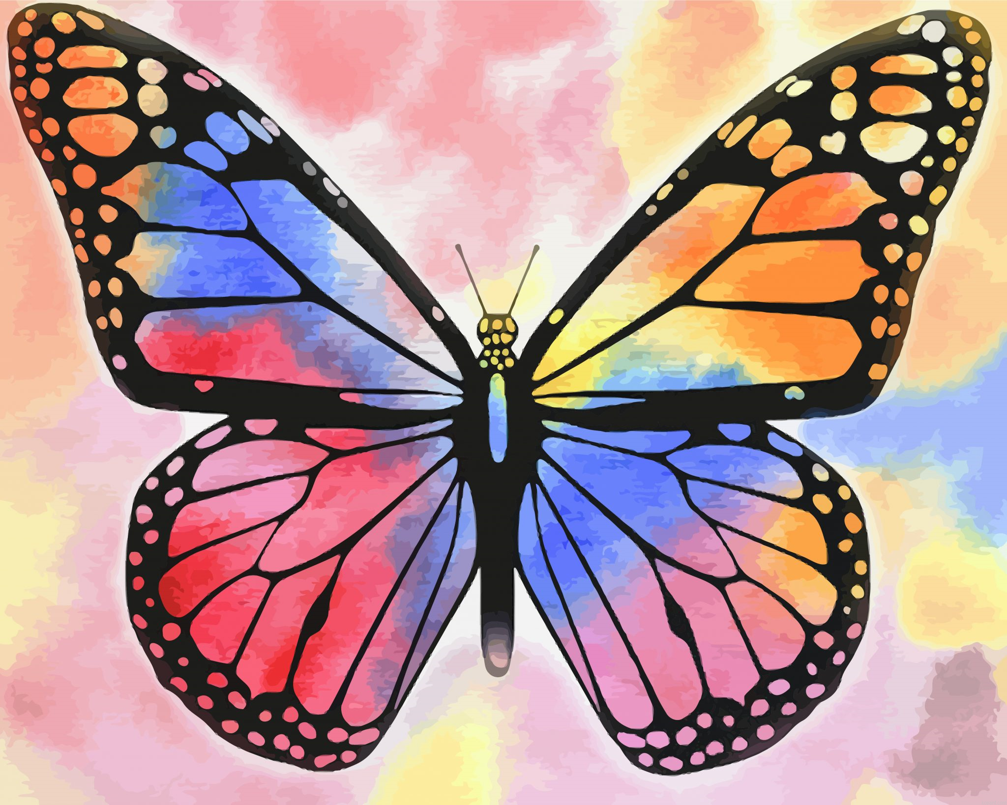 Multicolored Butterfly Painting By Numberss.png