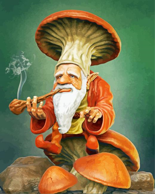 Mushroom Gnome Smoking Paint By Numbers