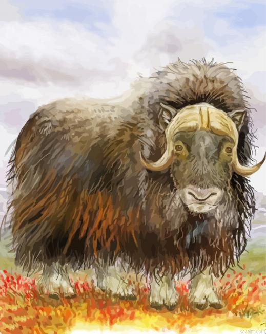 Musk Ox Art Painting By Numberss.png