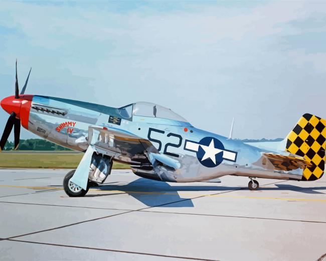 Mustang P51 Plane Painting By Numberss.png