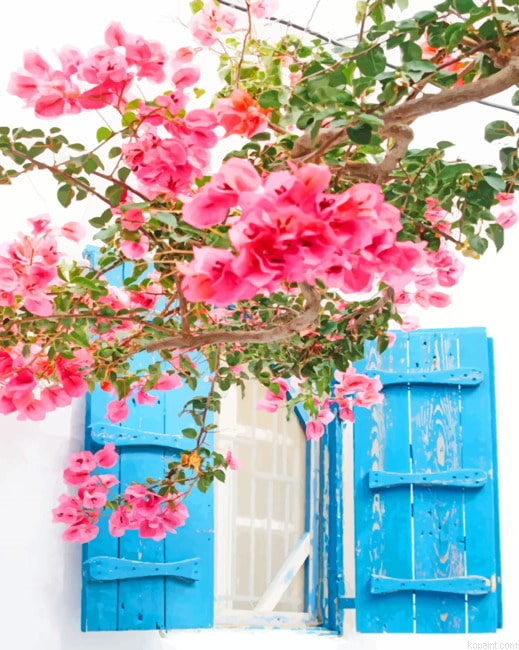 Mykonos Greece Pink Flowers New Painting By Numberss.png