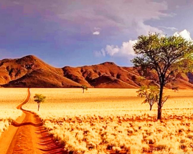 Namibrand Nature Paint By Numbers
