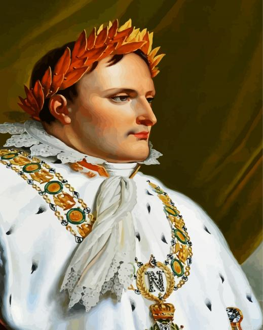Napoleon Paint By Numbers