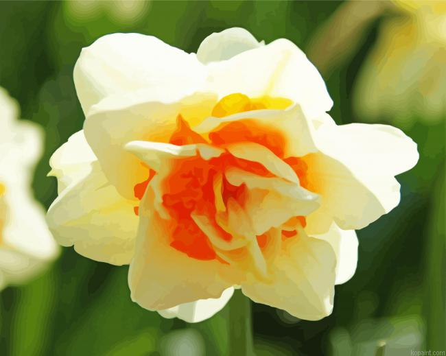 Narcissus Flower Parade Painting By Numberss.png