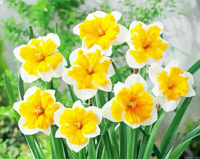 Narcissus Orangery Painting By Numberss.png