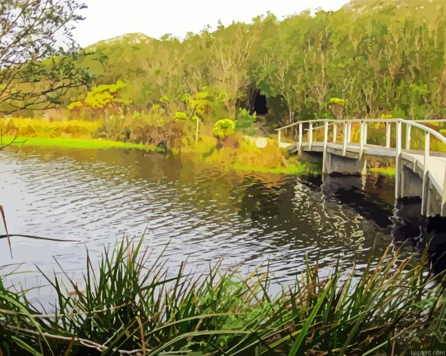 National Park Tafelberg Painting By Numberss.png