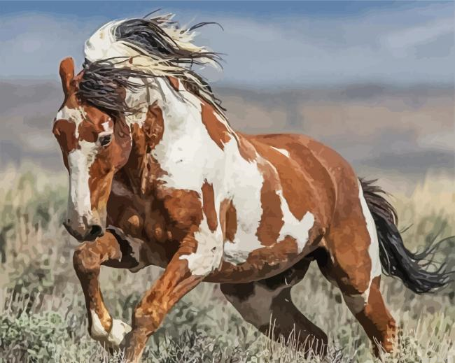 Native American Indian Horse Painting By Numberss.png