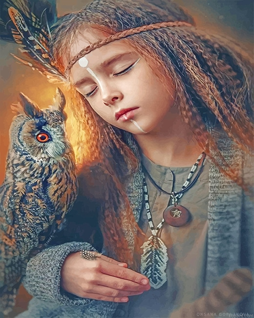 Native American With Owl Painting By Numberss.png