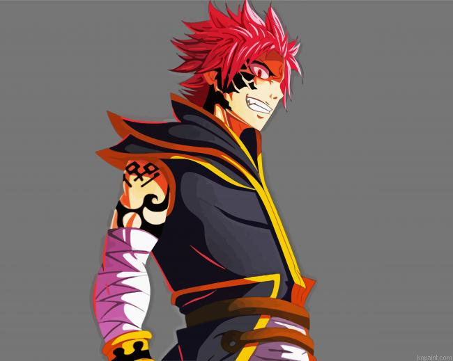 Natsu Dragneel Fairy Tail Anime Paint By Numbers