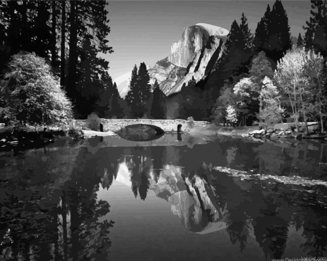 Nature By Ansel Adams Paint By Numbers