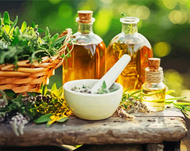 Naturopathy Tools Painting By Numberss.png