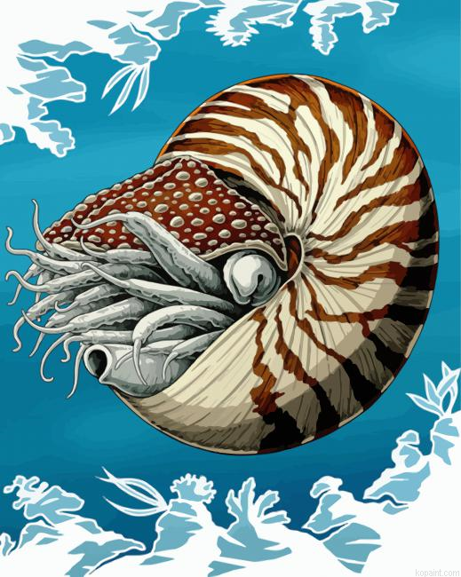 Nautilidae Marine Mollusc Painting By Numberss.png