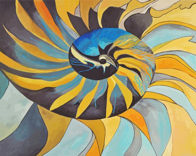 Nautilus Shell Art Painting By Numberss.png