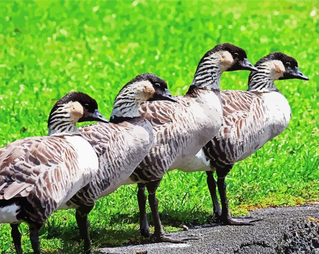 Nene Goose Birds Paint By Numbers