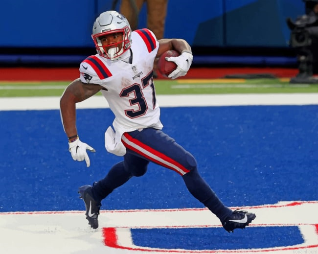 New England Patriots Paint By Numbers