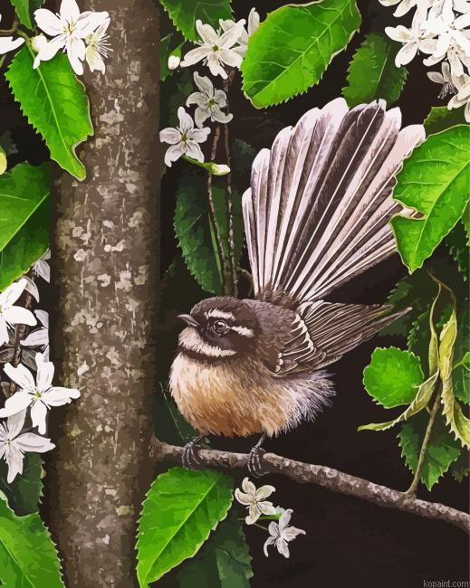 New Zealand Fantail Bird Painting By Numberss.png