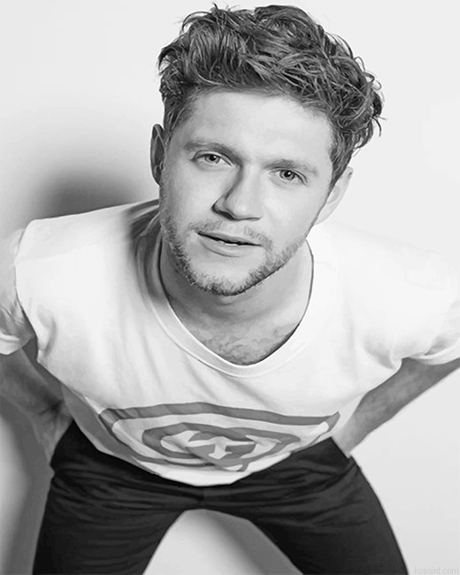 Niall Horan Black And White New Painting By Numberss.png