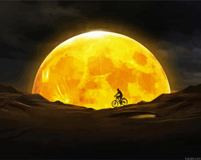 Nightscape Silhouette Paint By Numbers.png