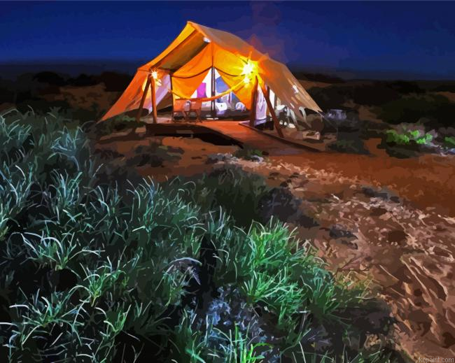 Ningaloo Reef Camping Painting By Numberss.png
